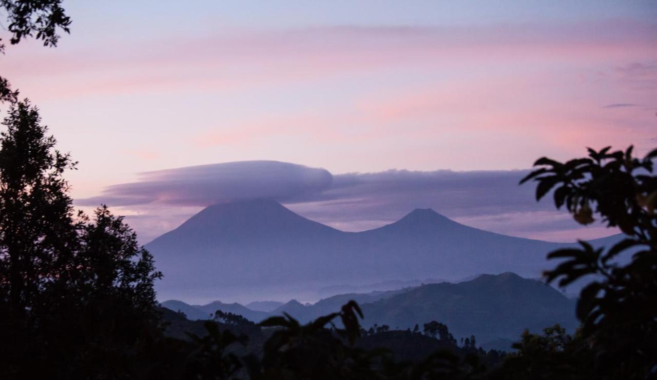 Clouds Mountain Gorilla Lodge Kisoro Eksteriør billede